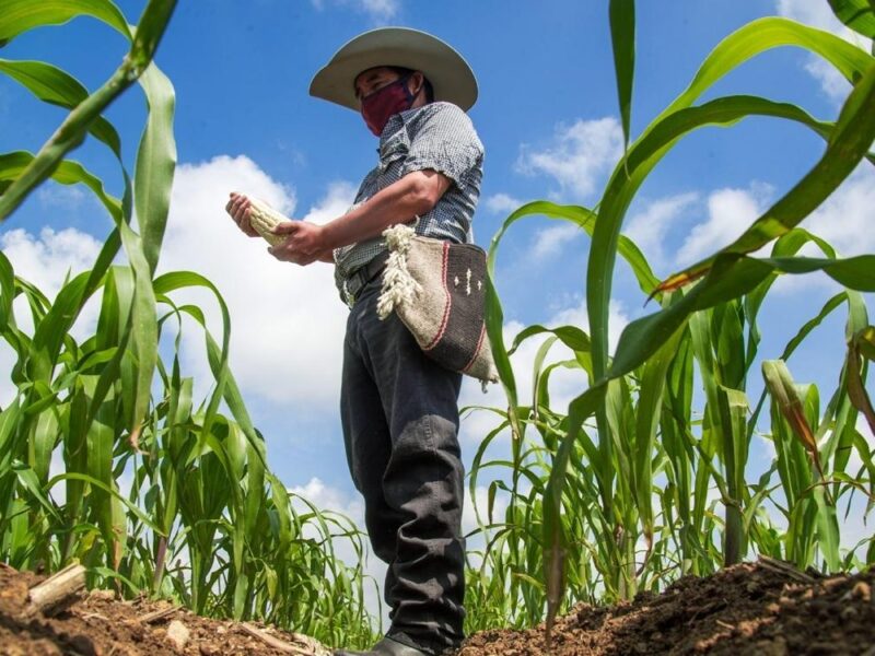 Seguridad alimentaria México ¿Sabes lo que comes?