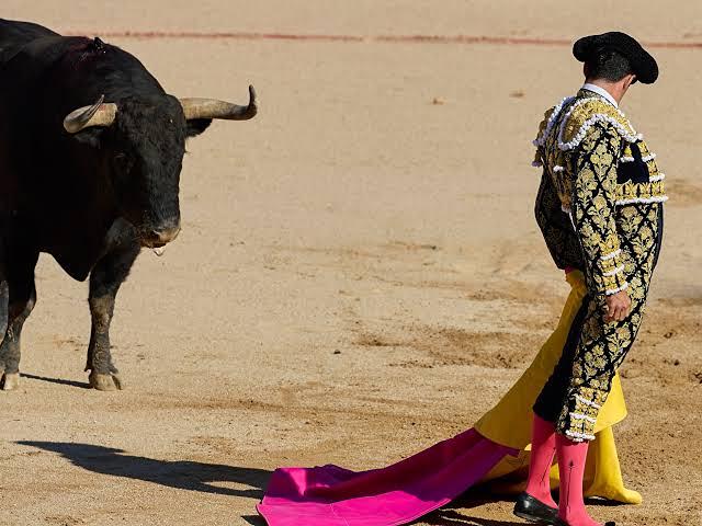 Tauromaquia en Michoacán: Pedirán su prohibición