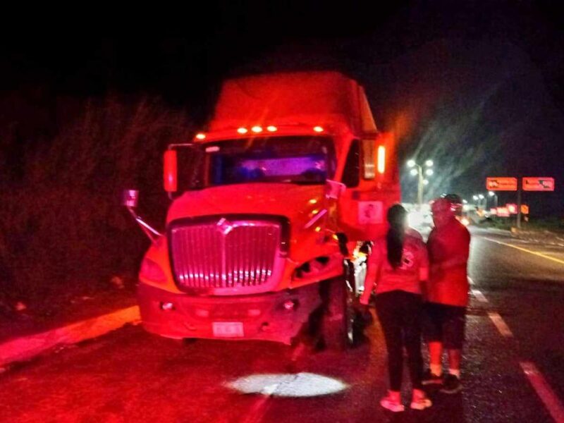 Tráiler impacta contra semoviente en la autopista Siglo XXI