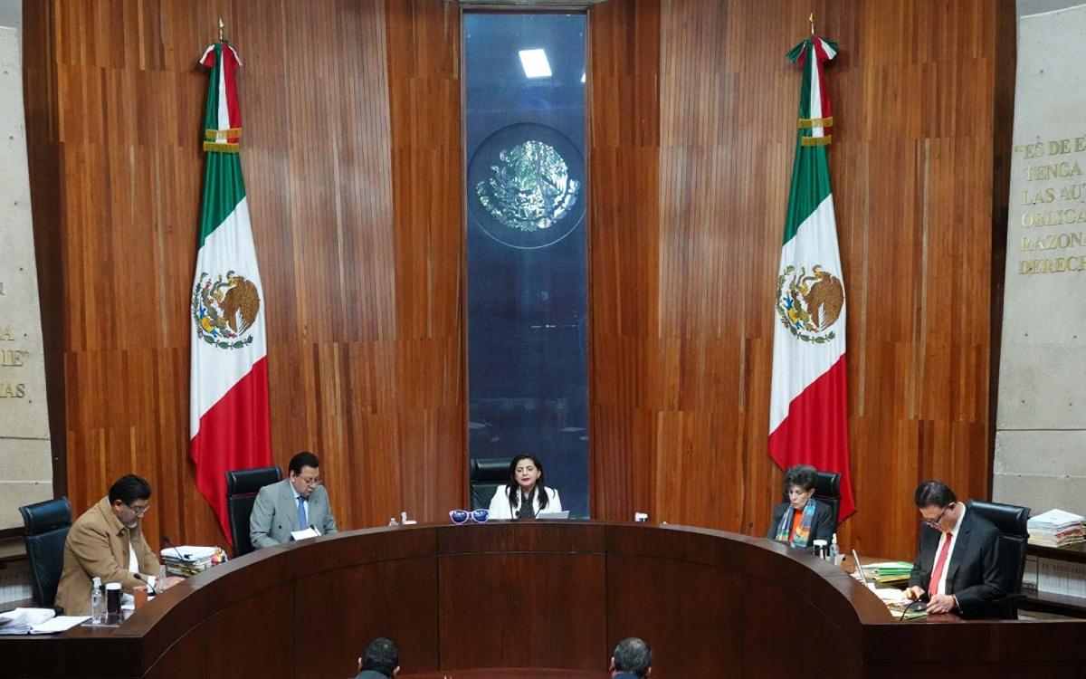 Tribunal Electoral ordena a Comité del Poder Judicial reanudar evaluación de candidatos reforma judicial