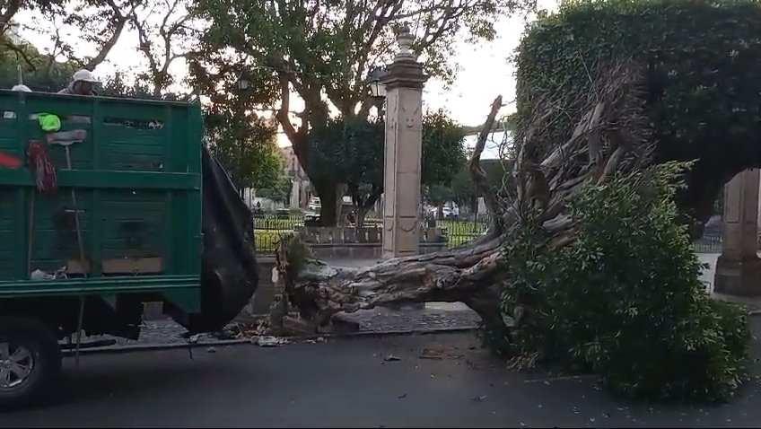 Vehículo recolector de basura daña cantera en choque en Plaza de Armas de Morelia