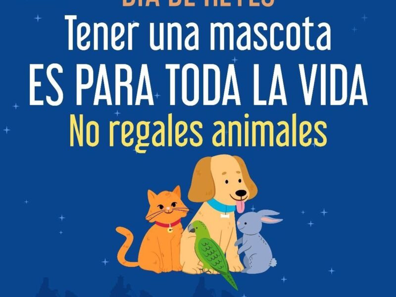 venta ilegal de animales Día de Reyes