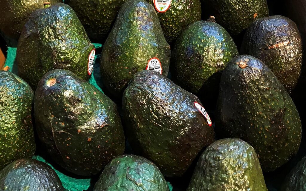 aranceles aguacateros exportaciones Estados Unidos