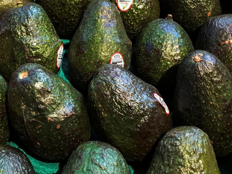 aranceles aguacateros exportaciones Estados Unidos