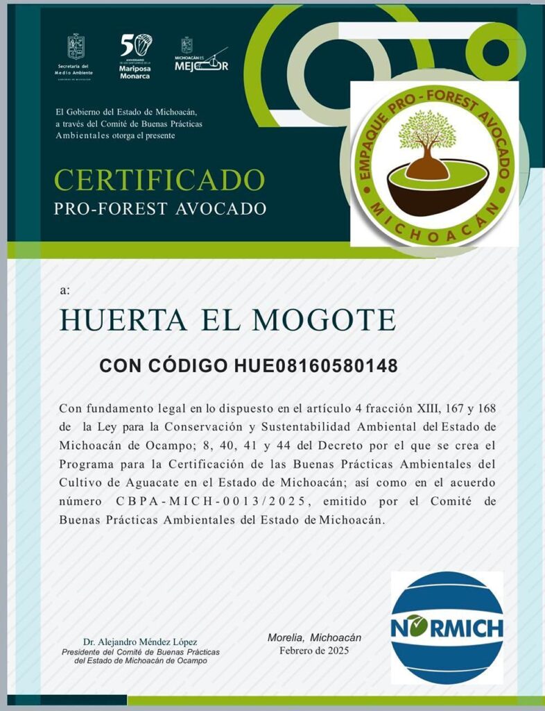 Certificación contra la deforestación ProForest Avocado es voluntaria: Bedolla