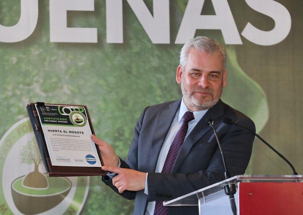 Comunidades indígenas, ejemplo en certificación de huertas de aguacate en Michoacán: Bedolla