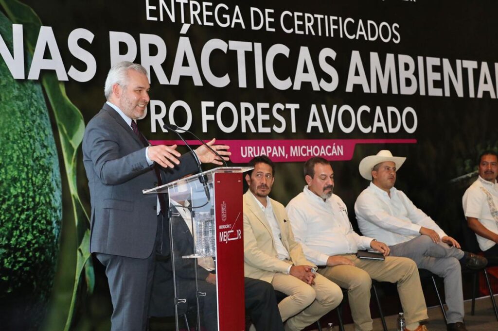 Comunidades indígenas, un ejemplo en certificación de huertas de aguacate en Michoacán