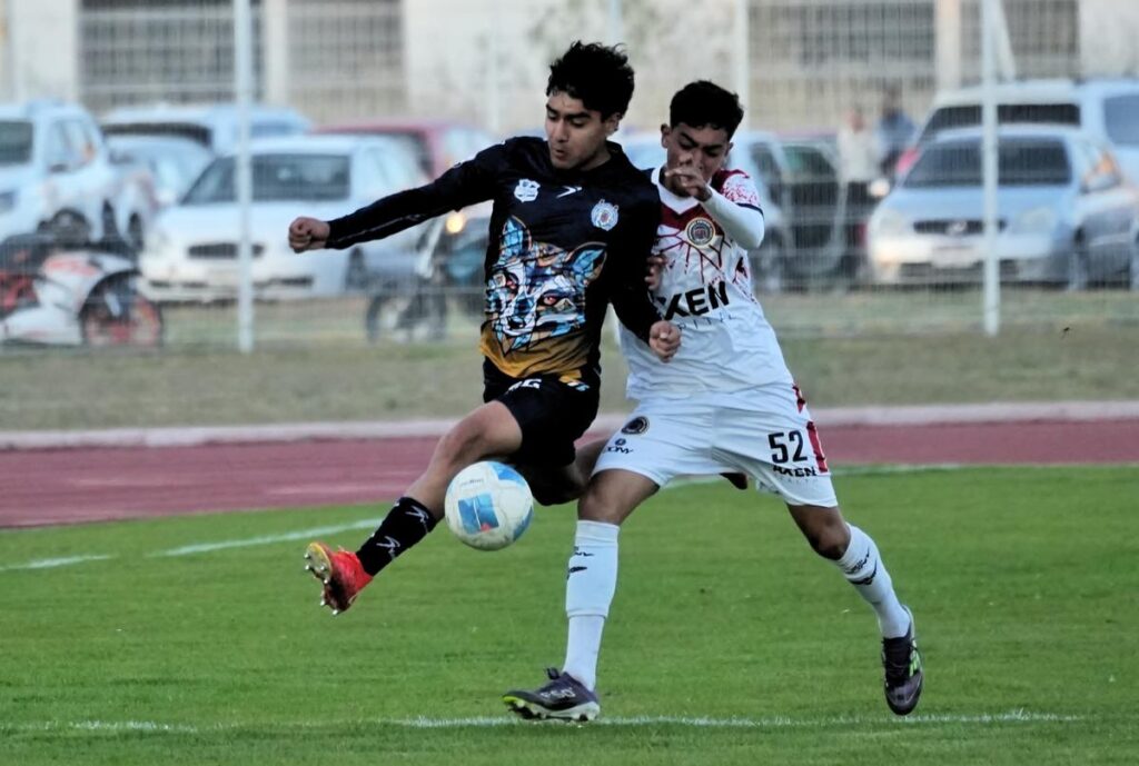 Con angustia, los Zorros de la Universidad Michoacana vence 1-0 a Halcones CF Uruapan