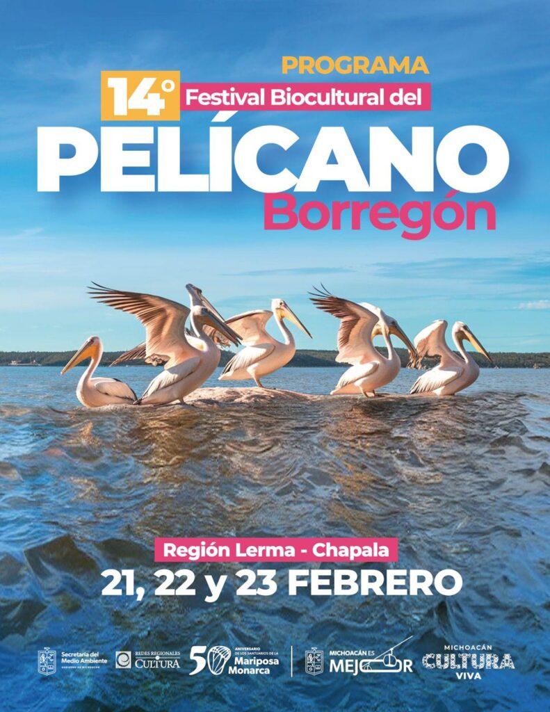 Conoce las actividades del Festival Biocultural del Pelícano Borregón-4