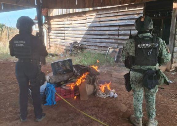 Destruyen 3 campamentos clandestinos en Parácuaro SSP-2