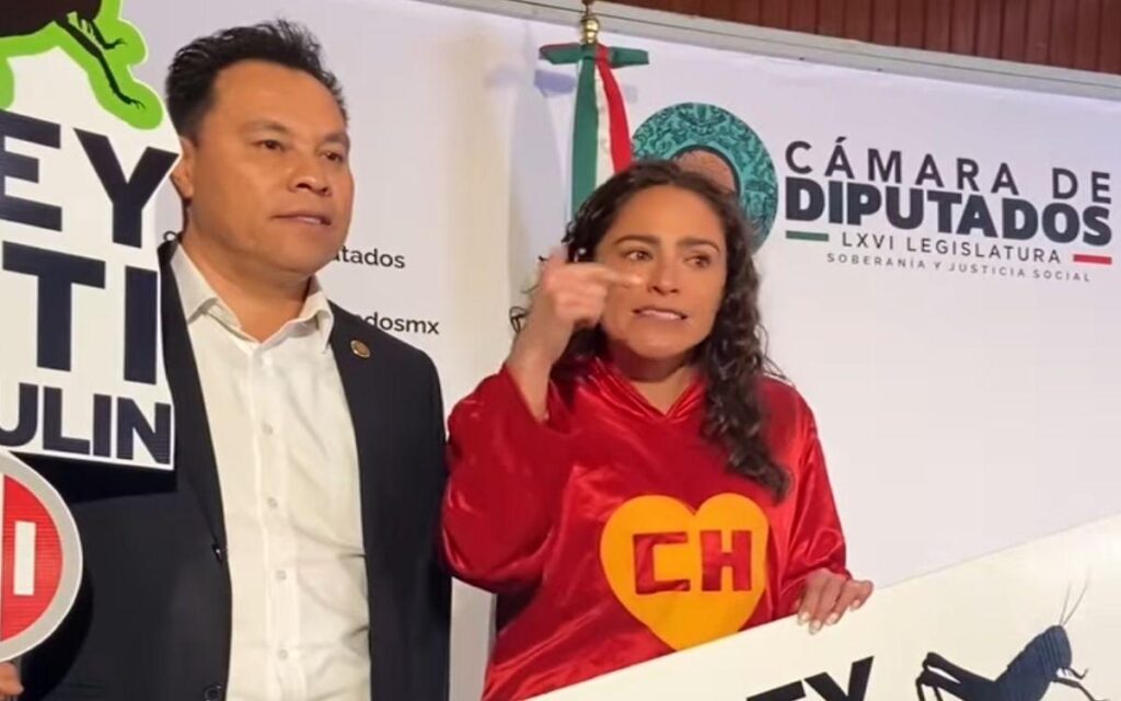 Diputada se viste de 'Chapulín Colorado' para presentar iniciativa de ley anti-Chapulín en cámara de diputados