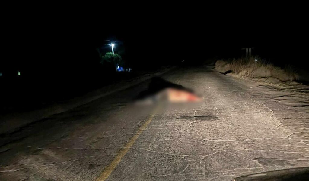 Elementos de FGR, los dos asesinados en la carretera Apatzingán – Buenavista