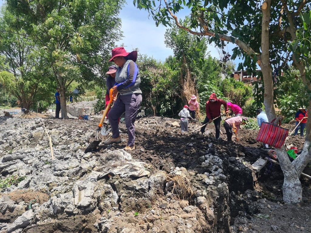 empleo temporal para preservación del lago de Pátzcuaro, Michoacán se reactivará en marzo