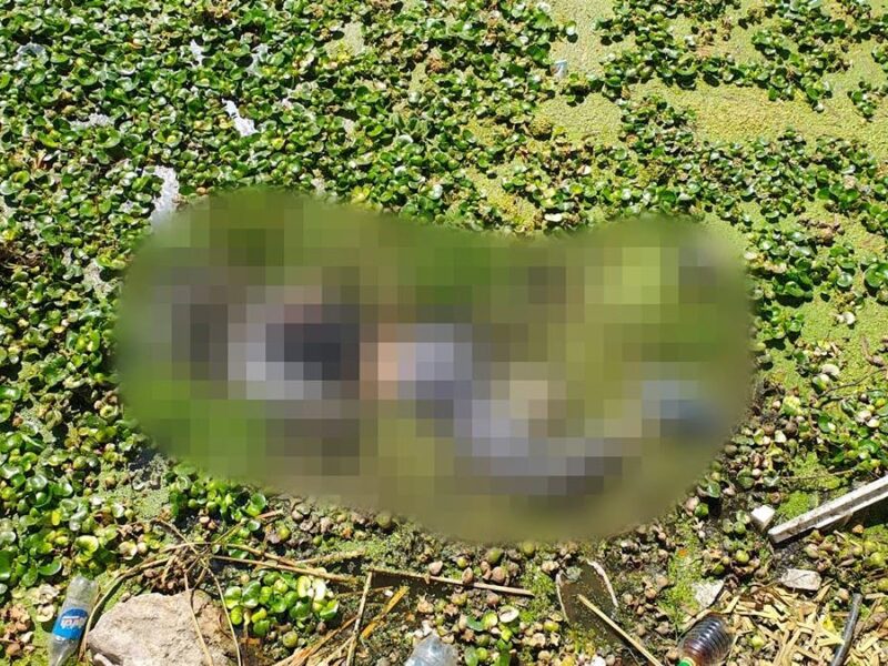 Encuentran a un hombre ahogado en el lago de Cuitzeo