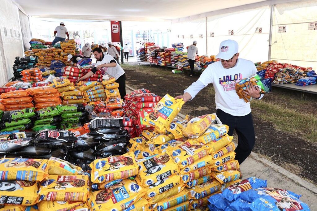 Entregadas a refugios casi 60 toneladas de croquetas para mascotas michis y lomitos: Paula Espinosa