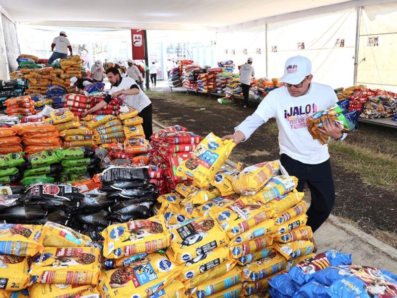 Entregadas a refugios casi 60 toneladas de croquetas para mascotas michis y lomitos: Paula Espinosa