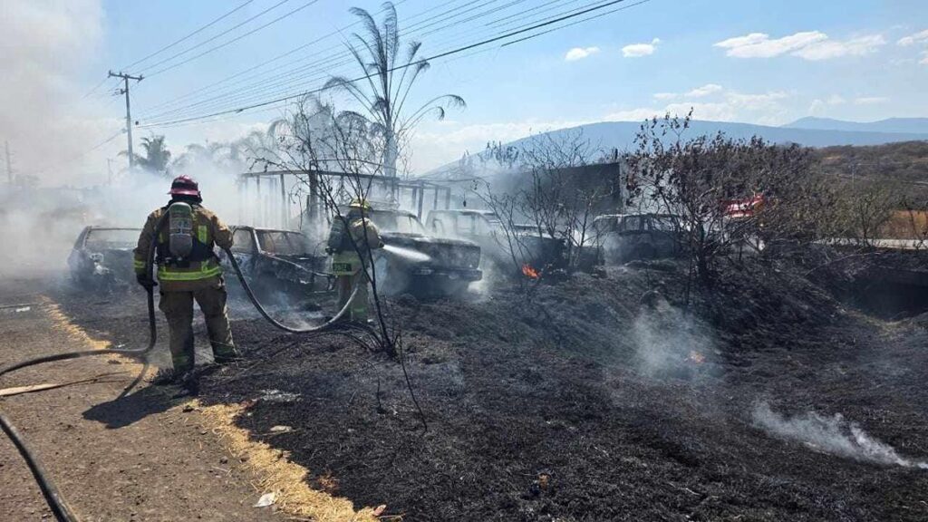 incendio pastizal vehículos yonque Zamora 2