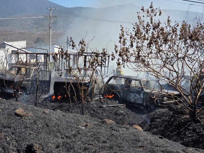 incendio pastizal vehículos yonque Zamora