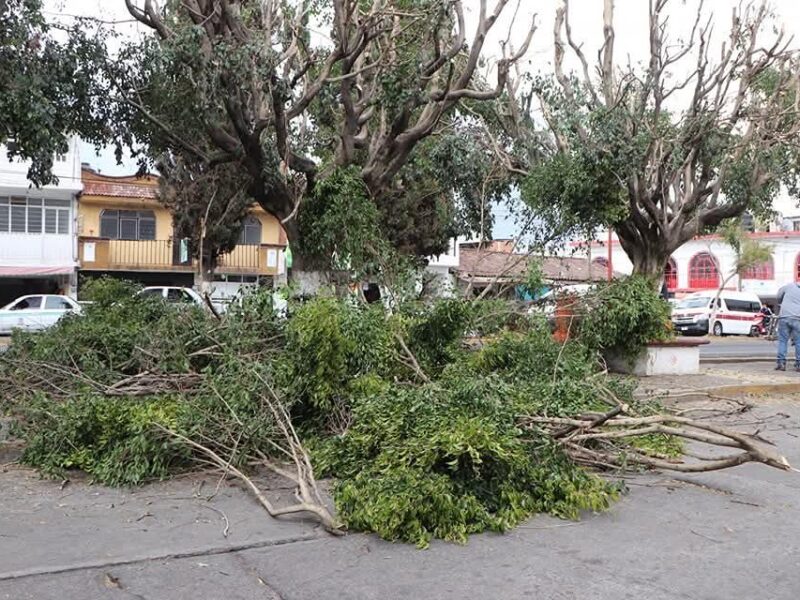 Iniciativa de Alma Mireya por un Quiroga verde y saludable