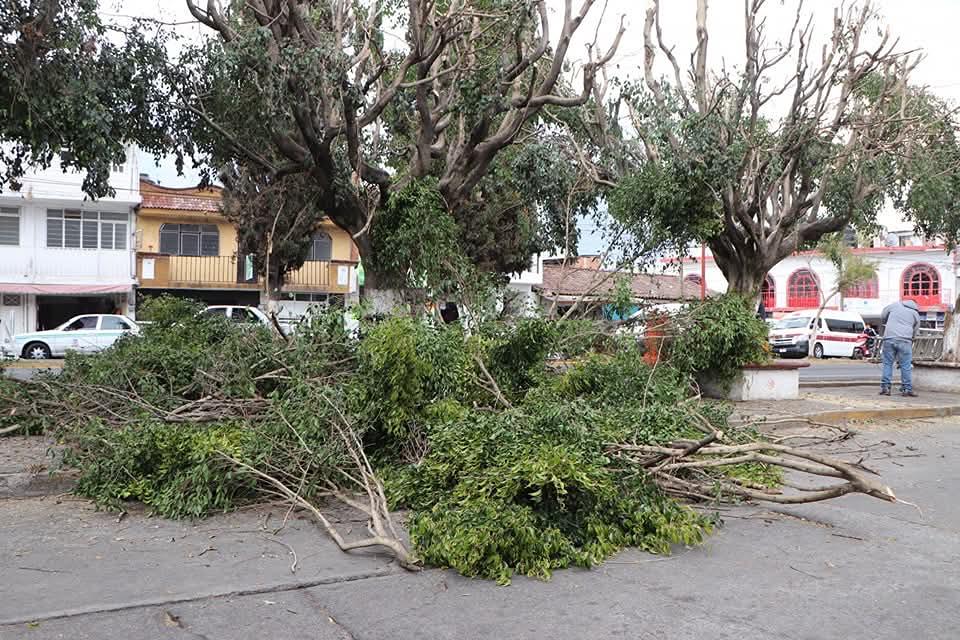 Iniciativa de Alma Mireya por un Quiroga verde y saludable