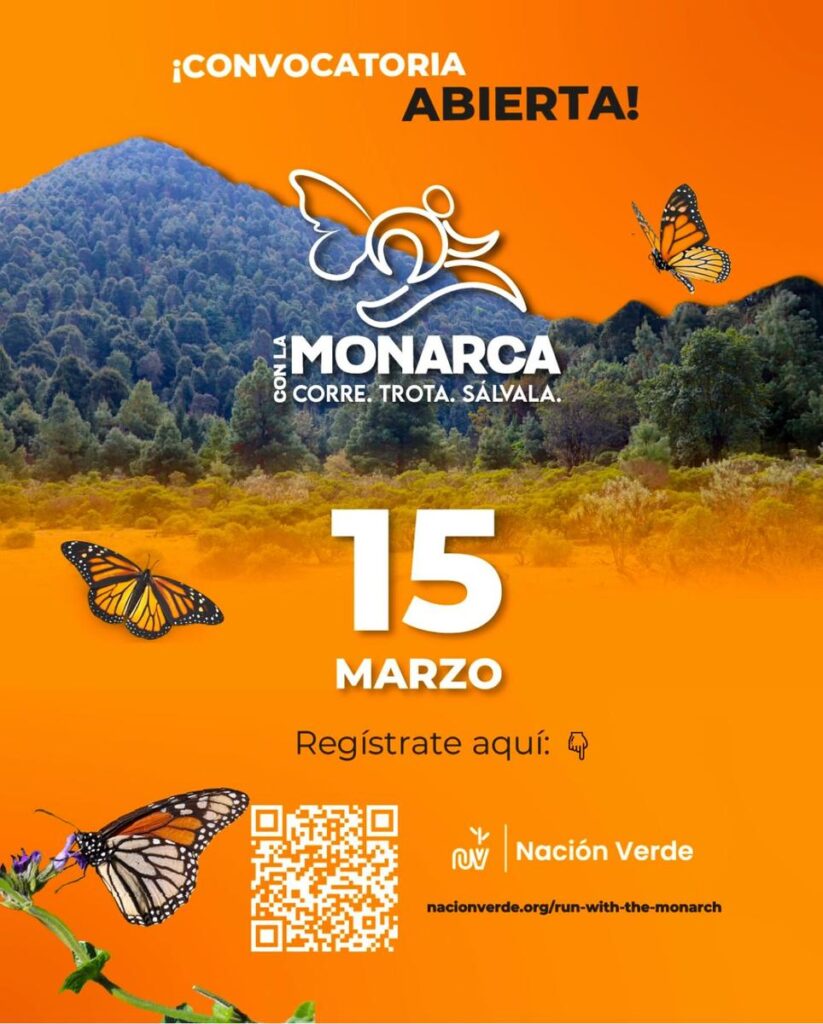 Invitan a correr en Zitácuaro por la Monarca en carrera atlética