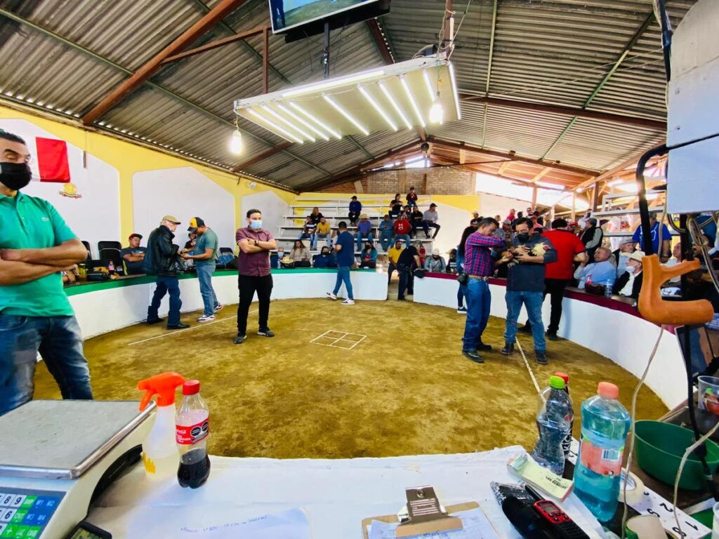 Marcha en Defensa de Peleas de Gallos en Michoacán