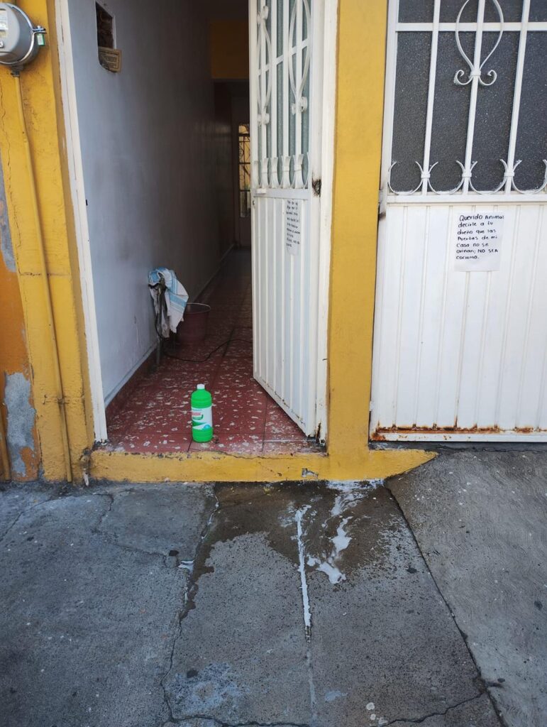 Morelia: Denuncian foco de infección y daños en casas por orina de perro