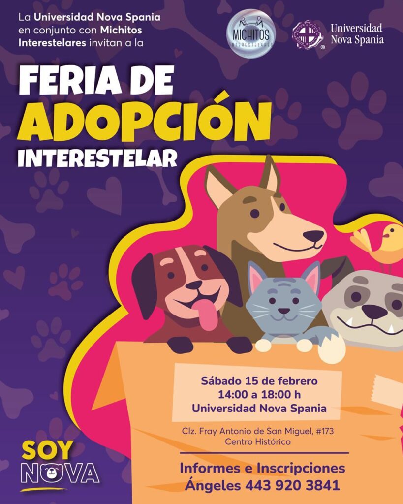 Morelia: Realizarán feria "Adoptar es salvar una vida"