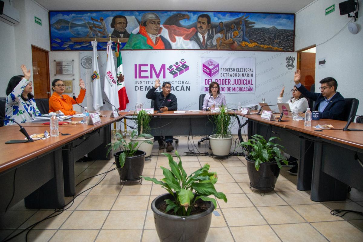 Inconsistencias detectadas por IEM en listados de candidatos a Poder Judicial local