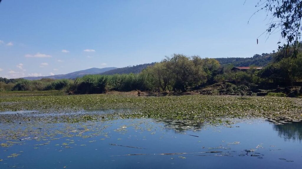 Pérdida de humedales en Michoacán