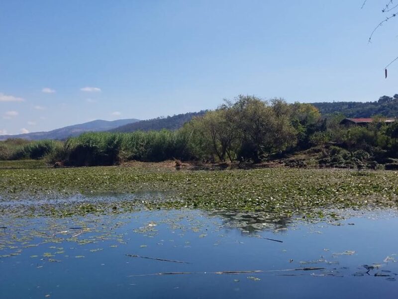 Pérdida de humedales en Michoacán