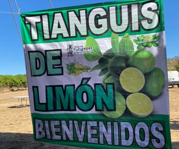 Por amenazas cerrarán oficinas y suspenderán actividad administrativa en tianguis limonero de Apatzingán