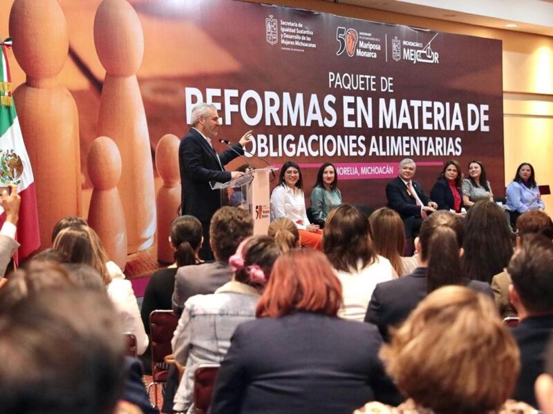 Reforma de Obligaciones Alimentarias a deudores en Michoacán