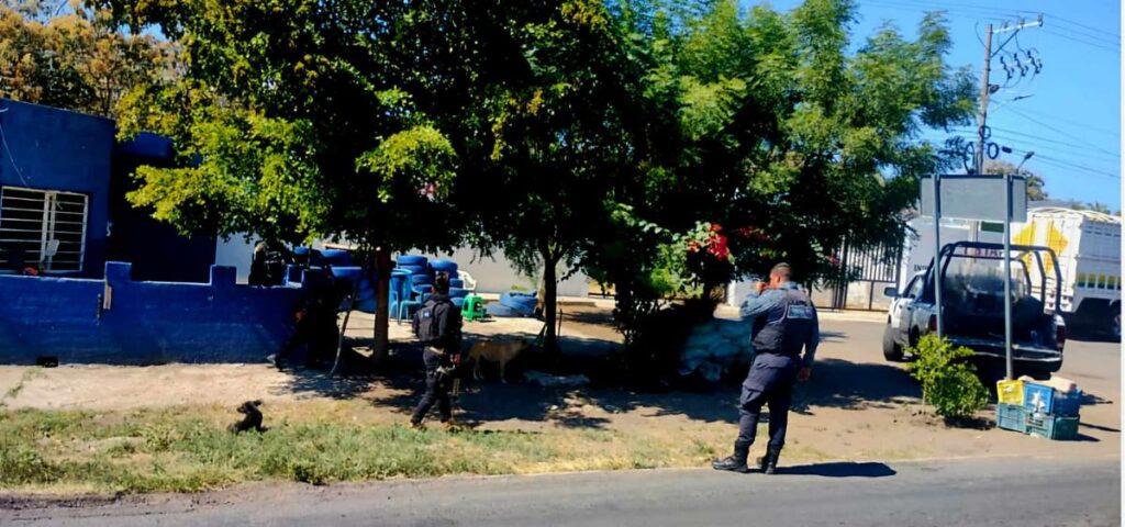 Reportan 2 ataques armados en Buenavista, dejan un muerto y 2 heridos