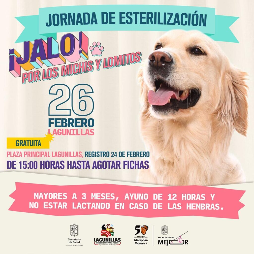 SSM realizará esterilización gratuita para mascotas-1