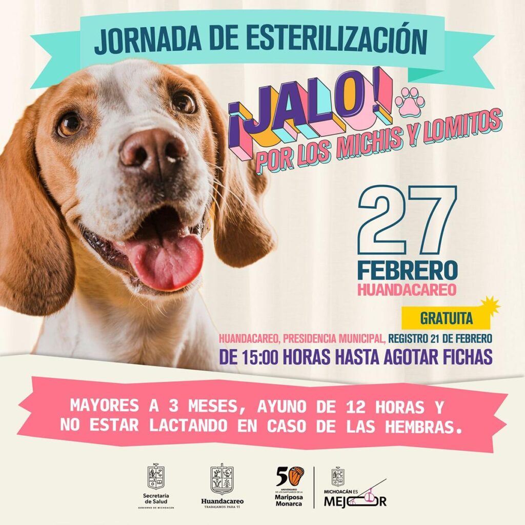 SSM realizará esterilización gratuita para mascotas-2