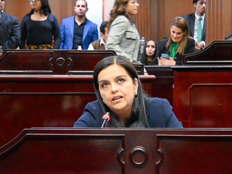 Teresa Herrera denuncia irregularidades en la lista para elección de jueces del Poder Judicial en Michoacán