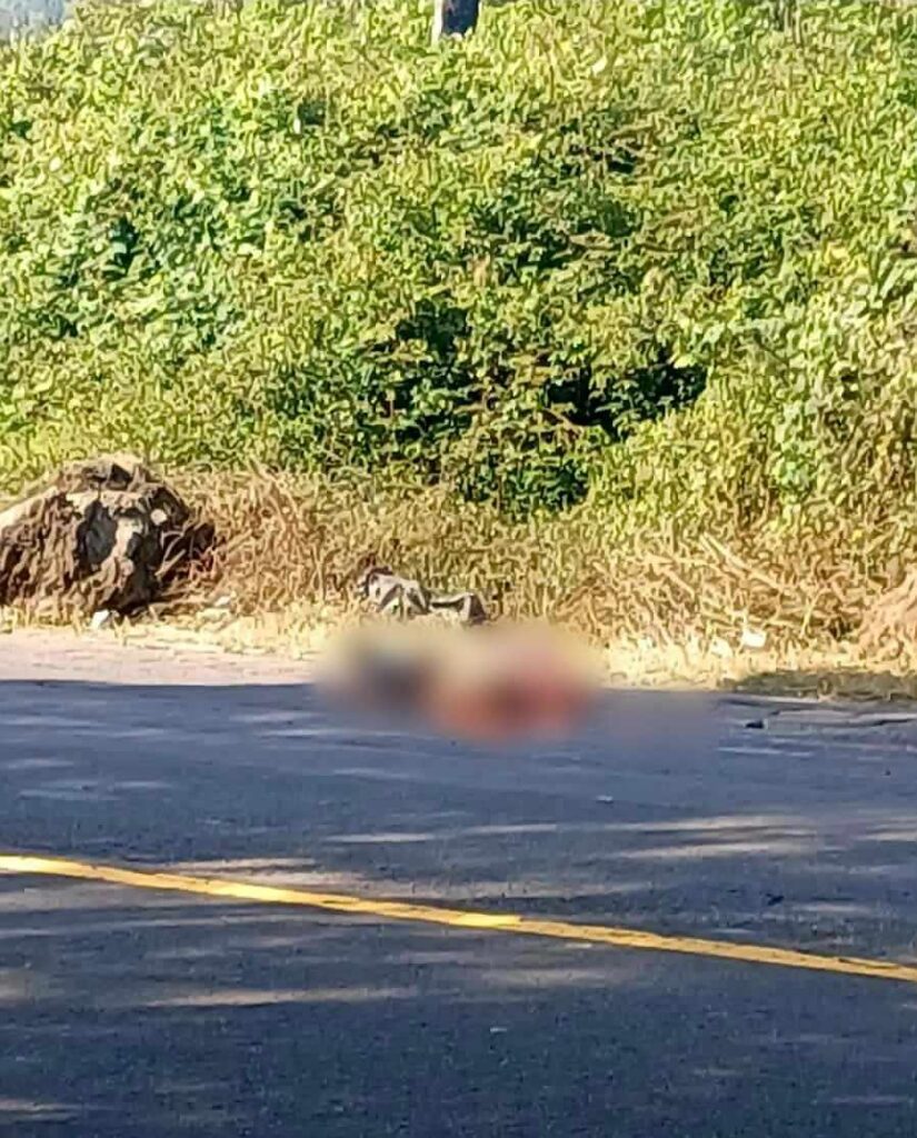 Un muerto y un herido al ser arrollados en la carretera Uruapan - Paracho