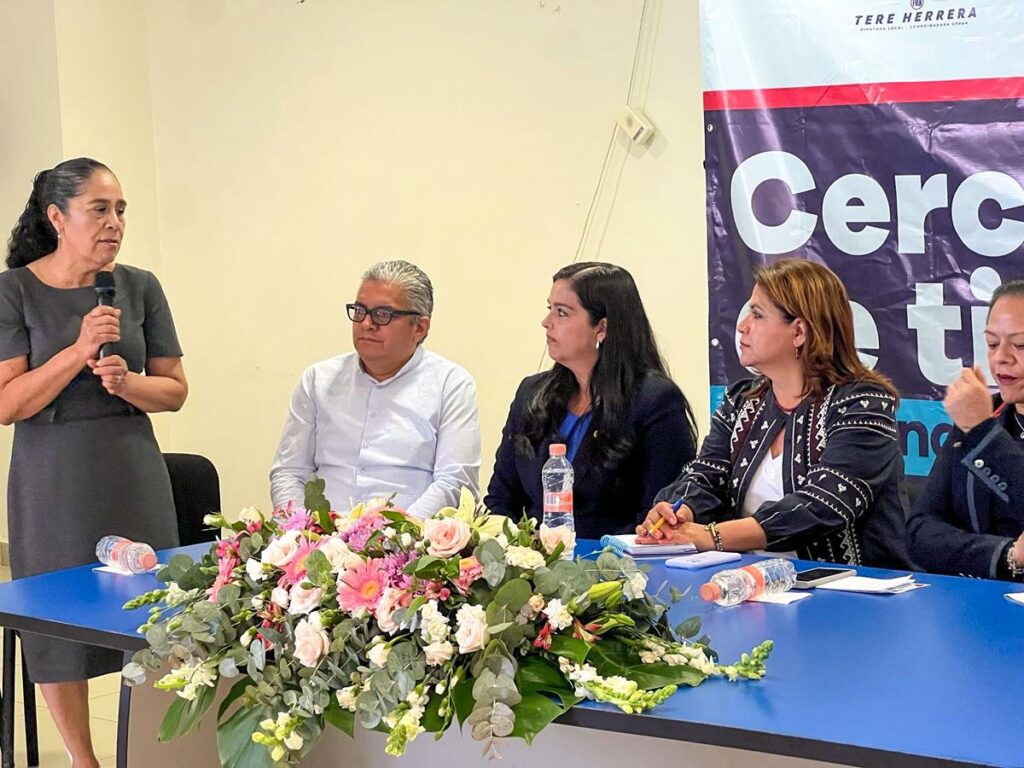 Urge atención eficiente y personal médico para pacientes renales en Michoacán: diputada Tere Herrera