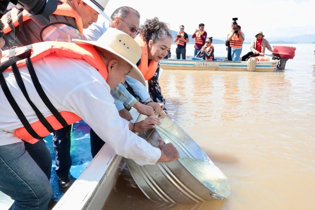 Avanza proceso para lograr denominación de origen del pez blanco en Pátzcuaro