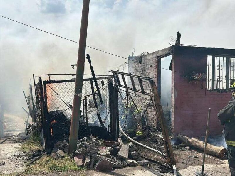 Bomberos estatales rescatan 3 caninos de un incendio de casa en Morelia