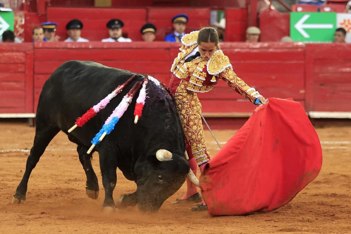 CDMX aprueba corridas de toros sin violencia