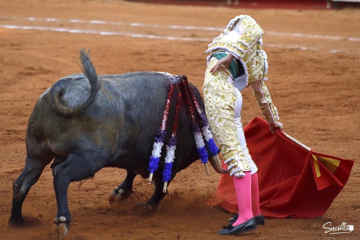 Corridas de Toros en México: propuesta Clara Brugada 1