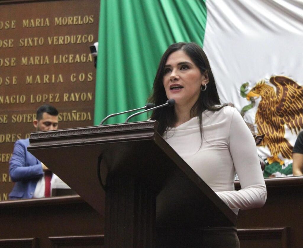 Debemos garantizar un proceso electoral de jueces transparente: Diana Espinoza