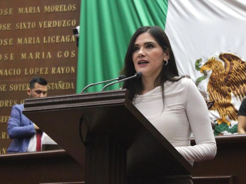 Debemos garantizar un proceso electoral de jueces transparente: Diana Espinoza