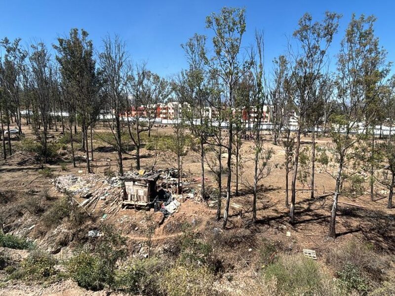 Denuncian invasión de paracaidistas en el Bosque de Eucaliptos, en Morelia