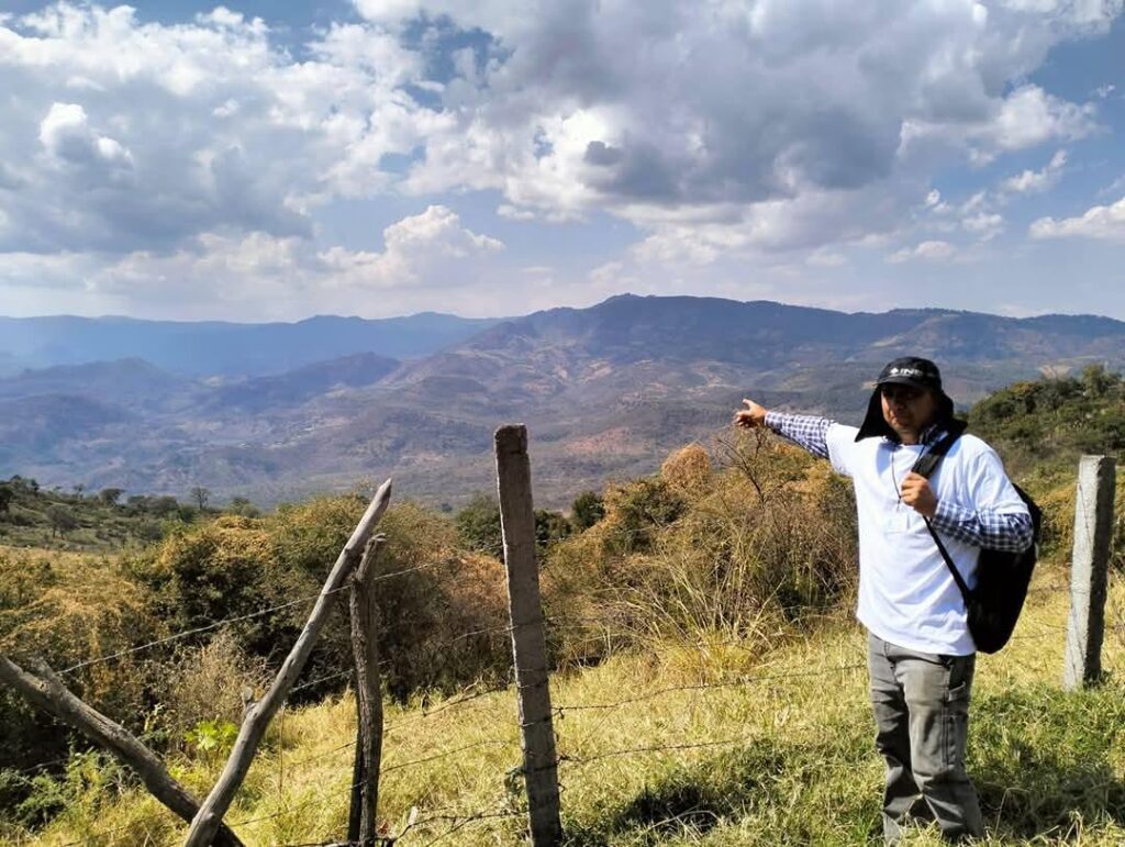 Elección judicial en Michoacán, en bandeja al narco 4