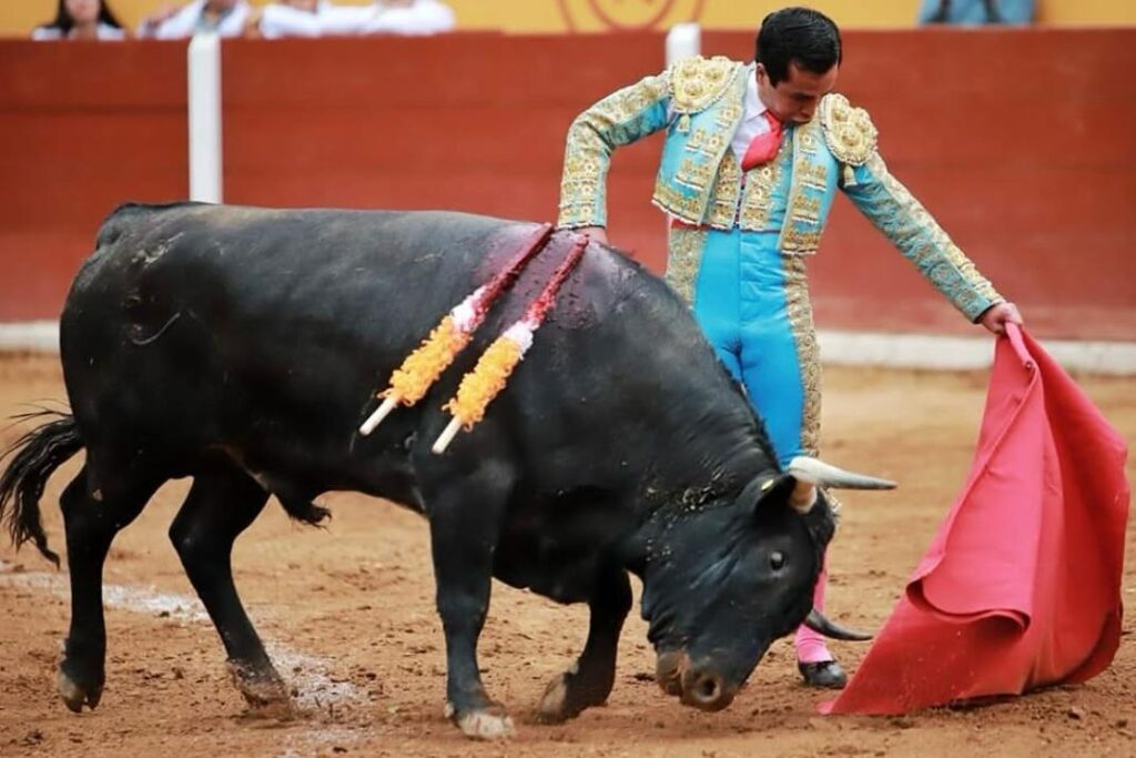 Emilio Macías es dado de alta tras cornada; espera recuperación total para volver a torear