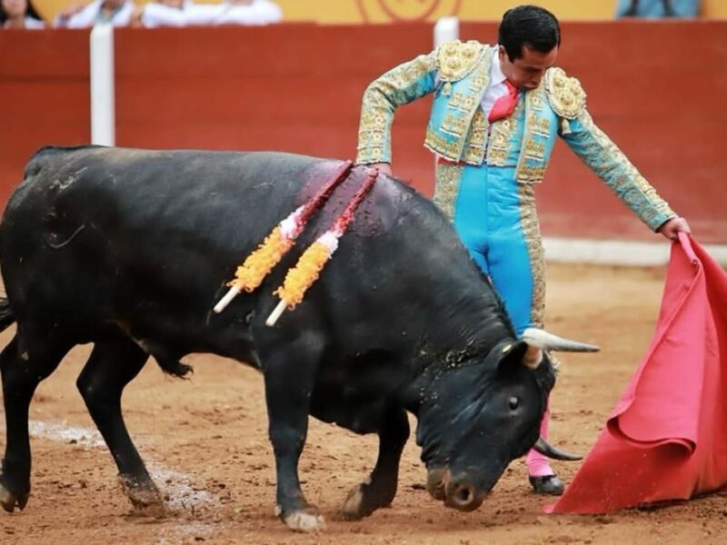 Emilio Macías es dado de alta tras cornada; espera recuperación total para volver a torear