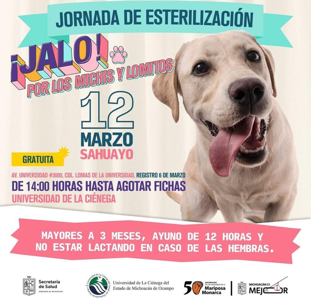 Esterilización gratuita de animales en Sahuayo